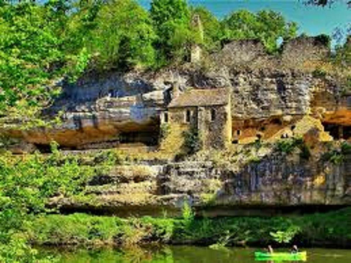 Les Pruniers De La Cipiere Villa Peyzac-le-Moustier Dış mekan fotoğraf