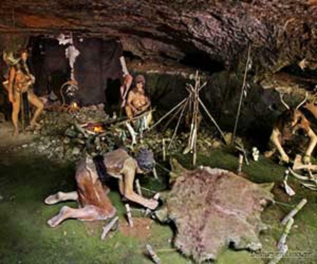 Les Pruniers De La Cipiere Villa Peyzac-le-Moustier Dış mekan fotoğraf