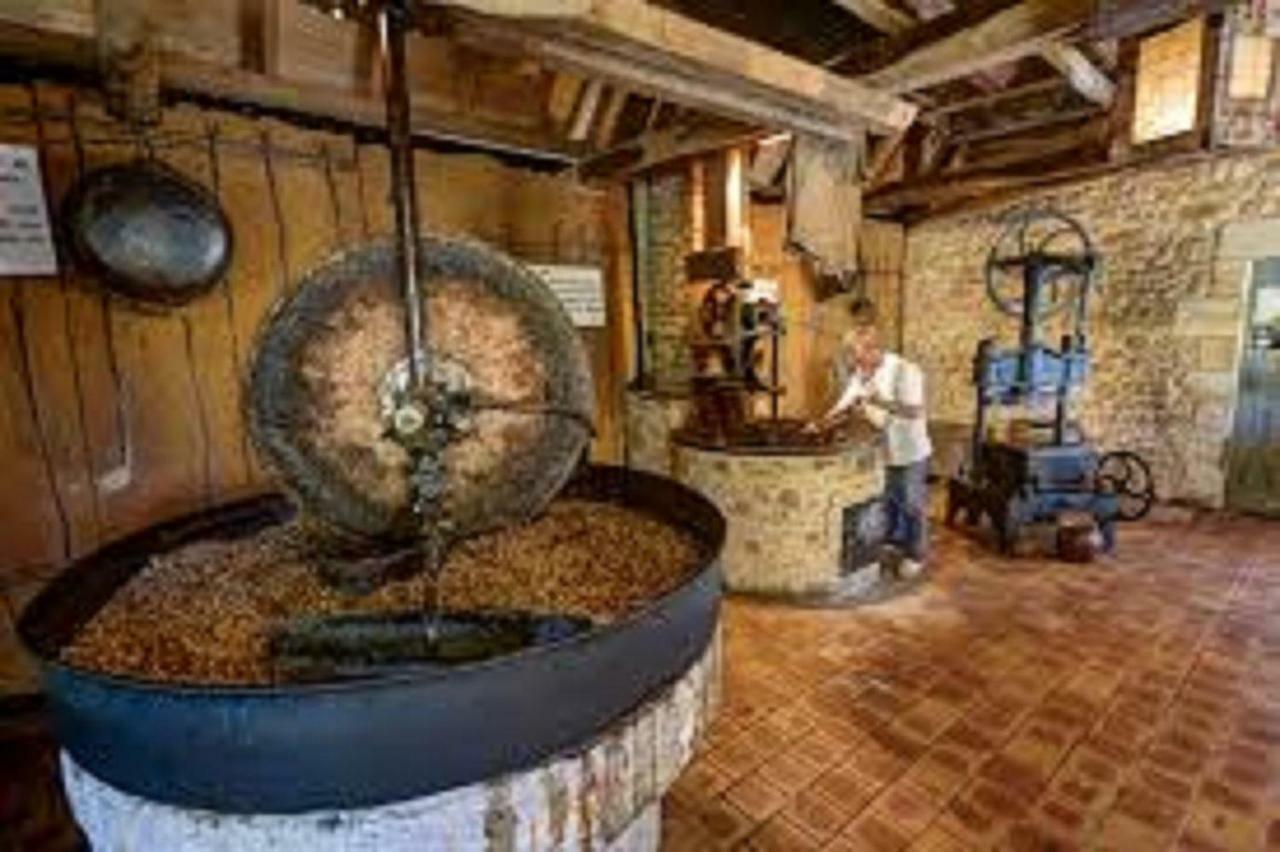 Les Pruniers De La Cipiere Villa Peyzac-le-Moustier Dış mekan fotoğraf