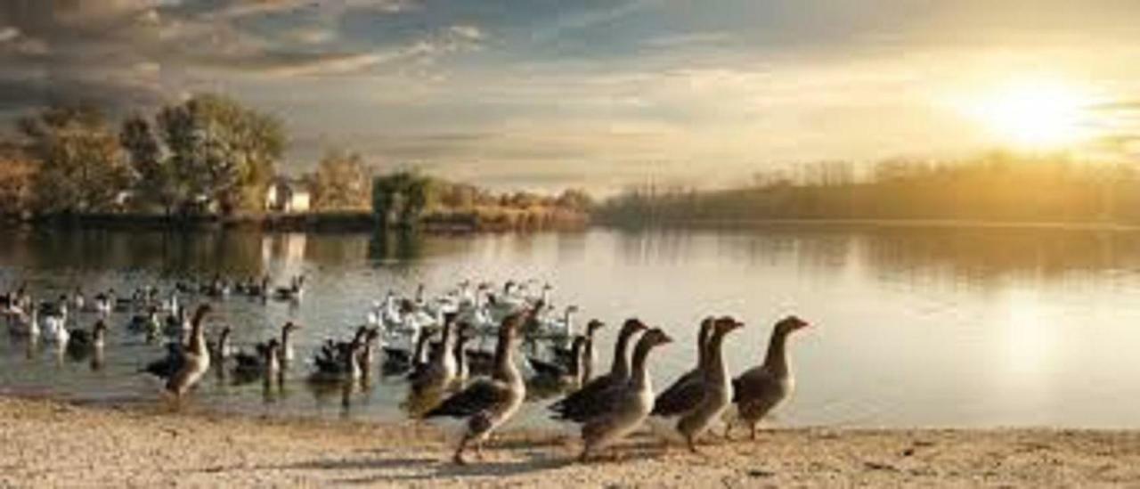 Les Pruniers De La Cipiere Villa Peyzac-le-Moustier Dış mekan fotoğraf