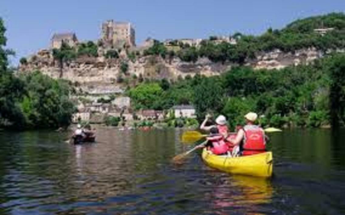 Les Pruniers De La Cipiere Villa Peyzac-le-Moustier Dış mekan fotoğraf